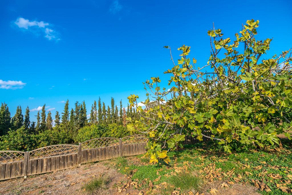 Legrena Beach Villa Sounion Dış mekan fotoğraf