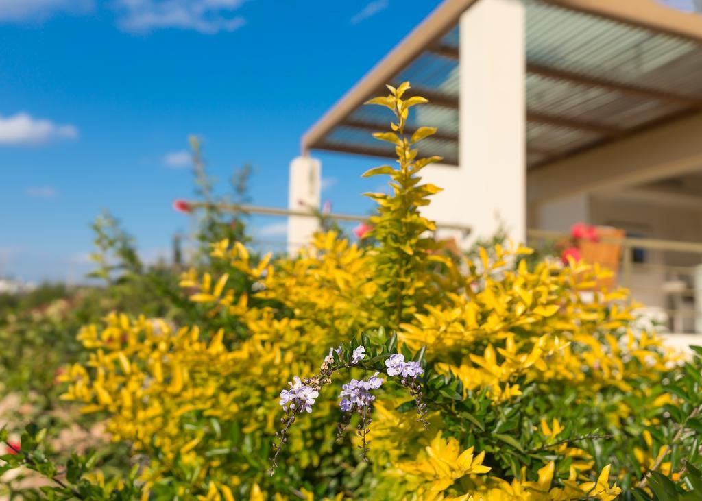 Legrena Beach Villa Sounion Dış mekan fotoğraf